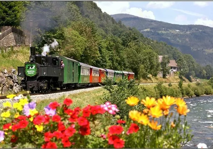 شاليه Woody Park 14